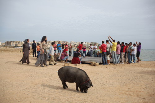 Fotografía tomada de http://www.distribution-company.com