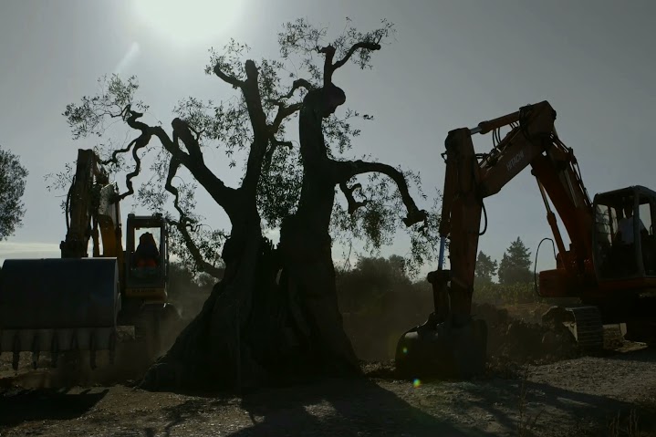 Foto cortesía CineMigrante.