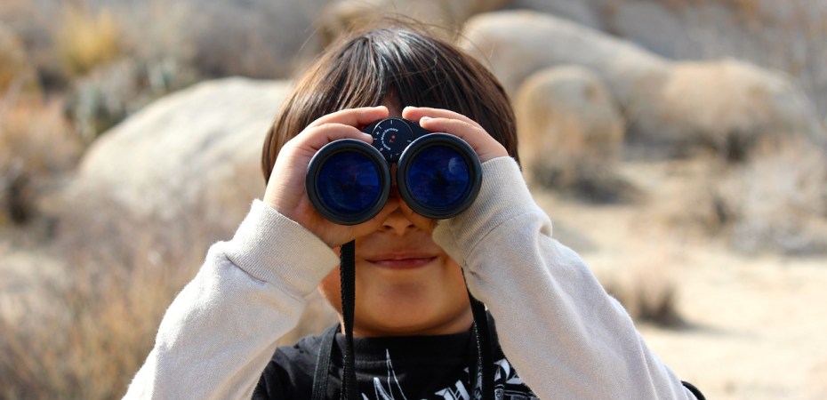 Imagen de nightowl en Pixabay